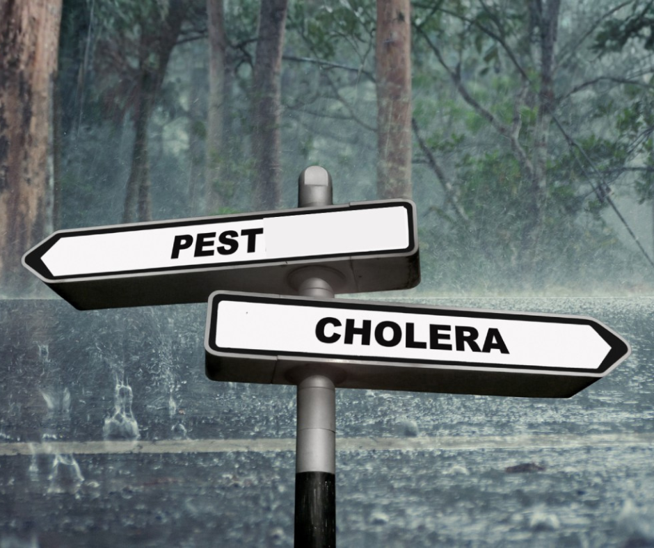 Blogbeiträge Website-10